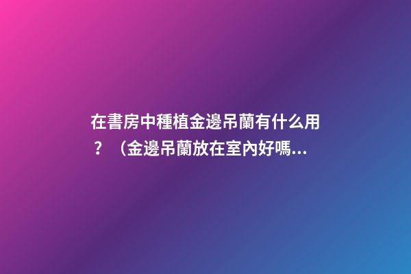 在書房中種植金邊吊蘭有什么用？（金邊吊蘭放在室內好嗎）